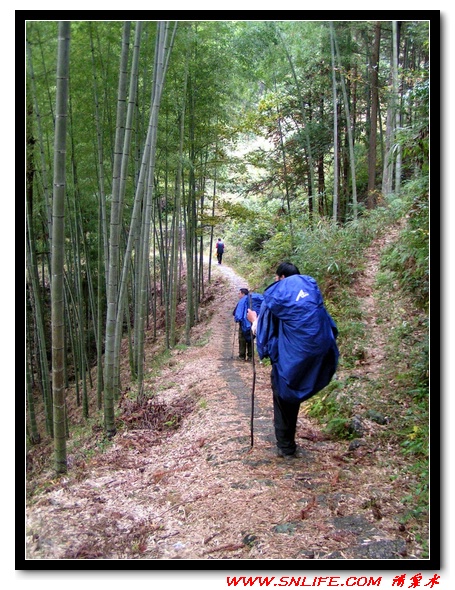 秋之旅(赏红叶-观靓水-行古道）