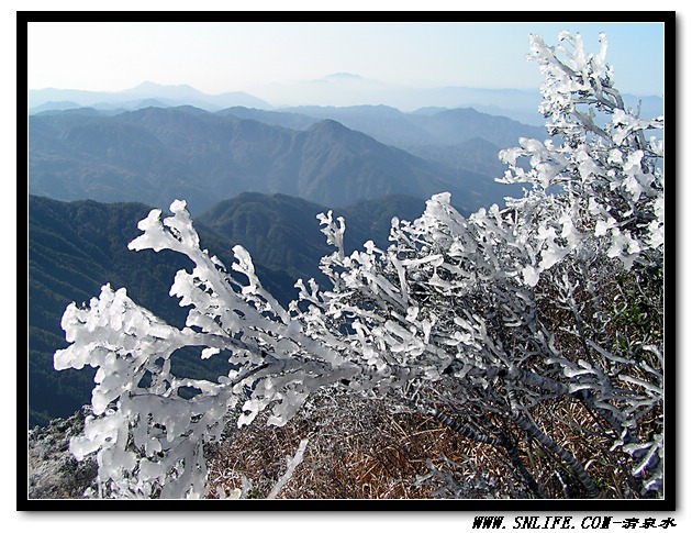 仙岩冰花