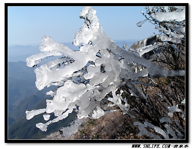 仙岩冰花