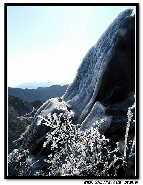 仙岩冰花