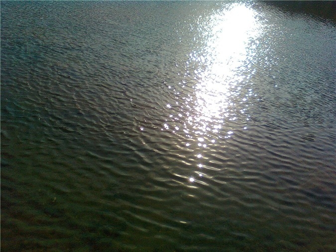 夕阳犀水争辉映 (4).jpg