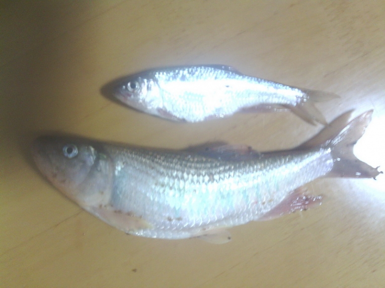 IMG_20120504_202240.jpg