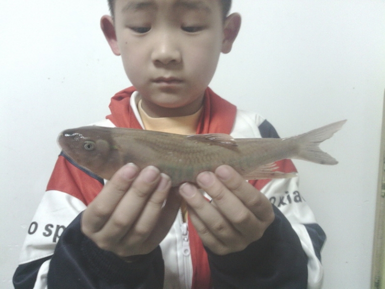 IMG_20120504_202917.jpg