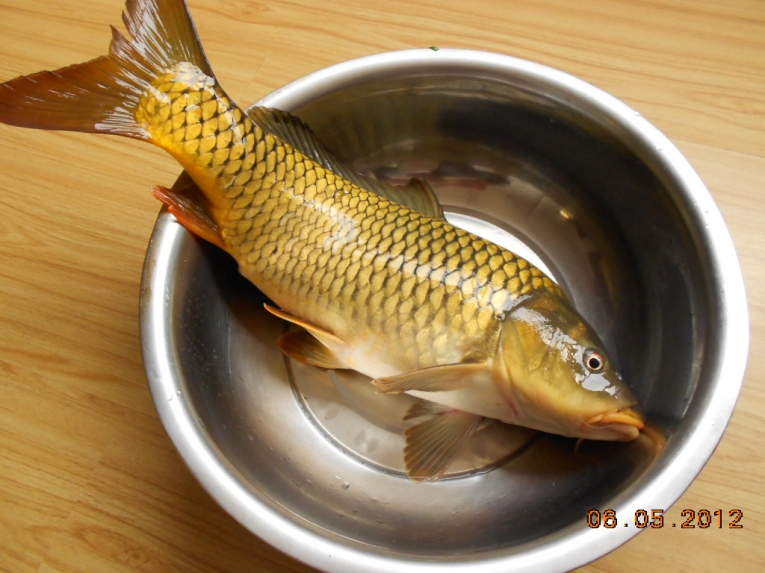 DSCN3868.JPG
