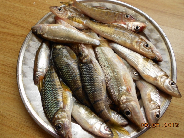 DSCN3869.JPG