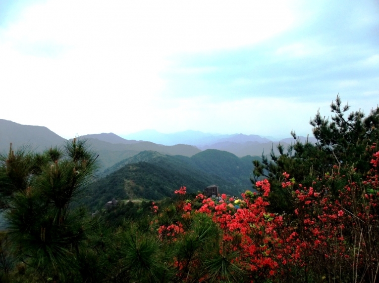 照片 3585.jpg