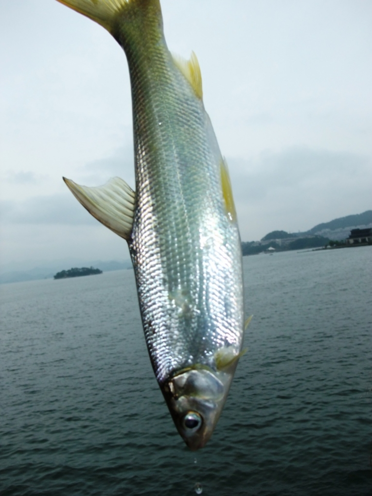 照片 218.jpg
