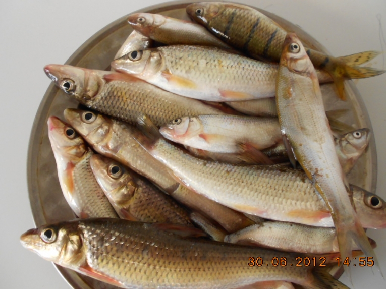 DSCN3914.JPG