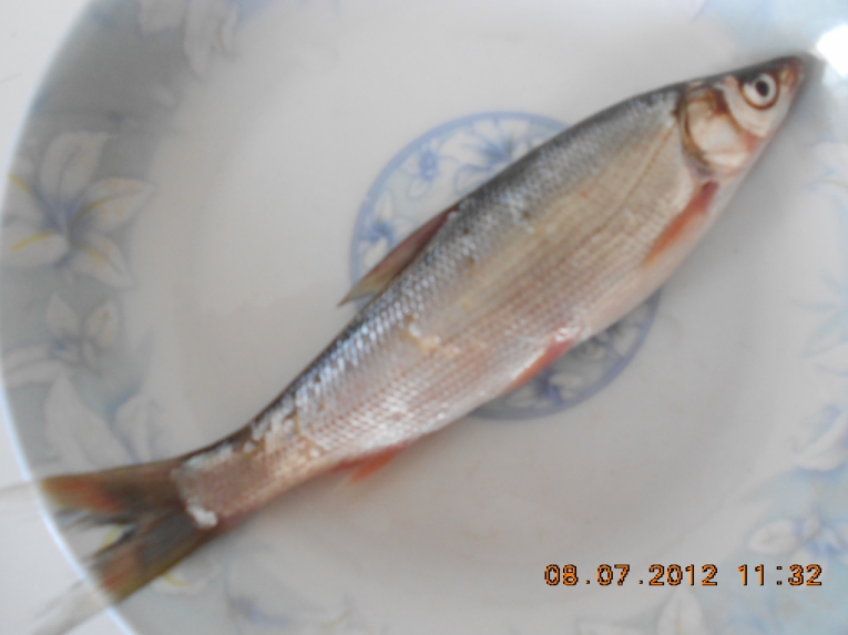 DSCN3939.JPG