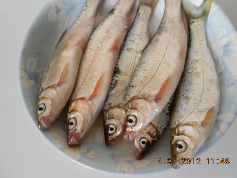 DSCN3968.JPG