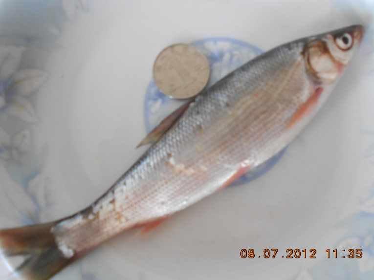 DSCN3941.JPG