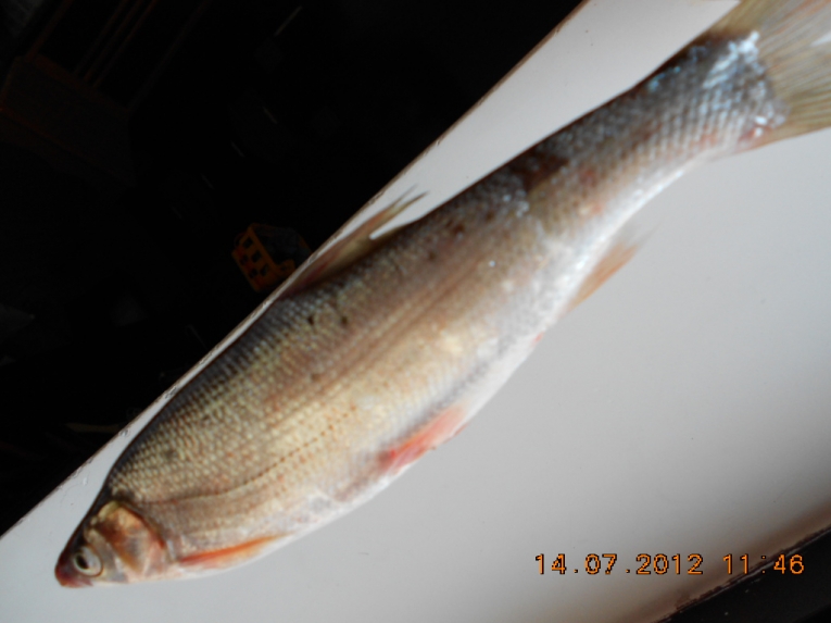 DSCN3965.JPG