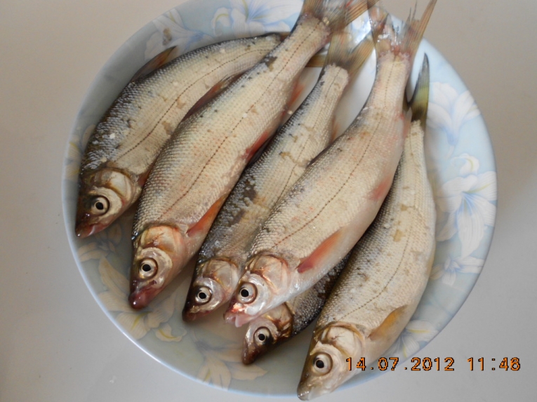 DSCN3966.JPG