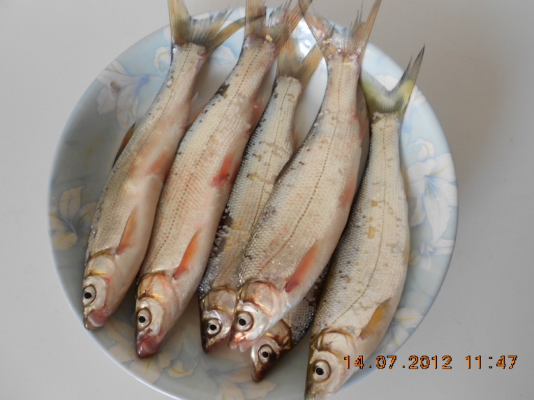 DSCN3967.JPG
