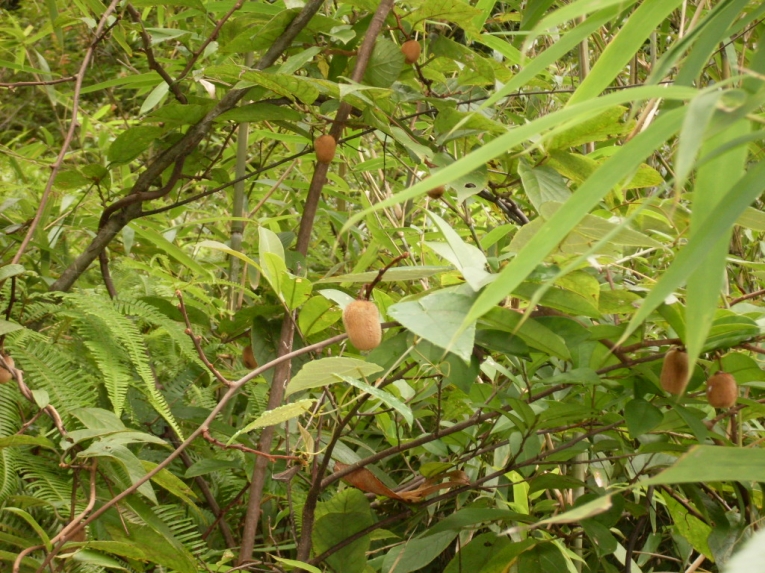 SDC12158.JPG