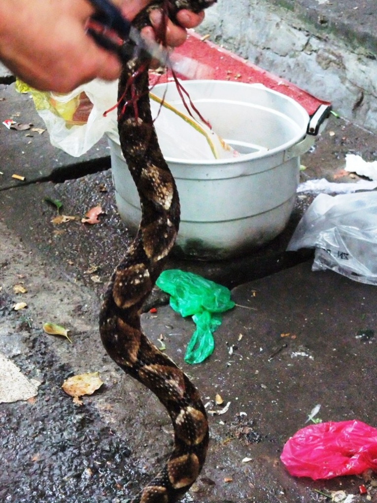 照片 436321.jpg