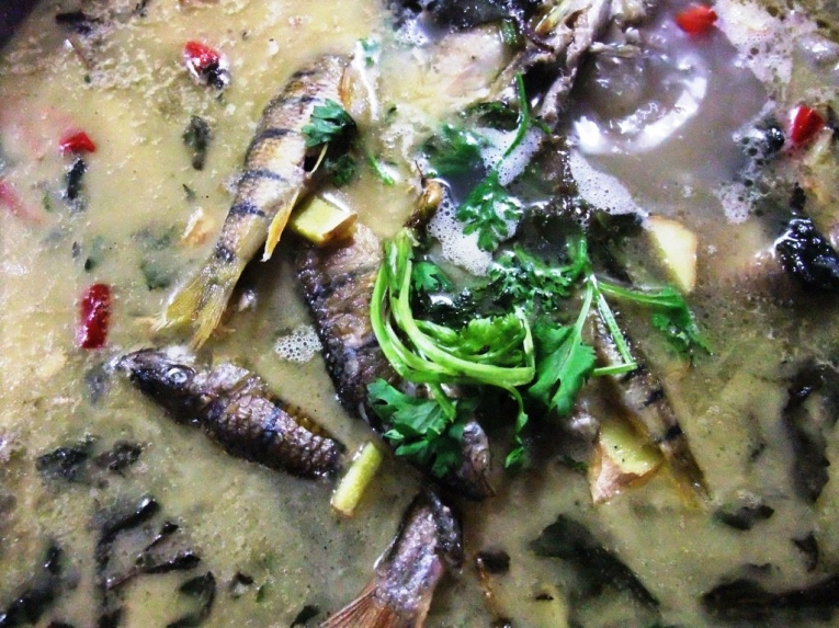 照片 436331.jpg