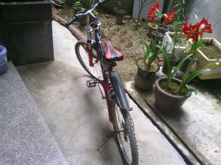 IMG_20120529_170655.jpg
