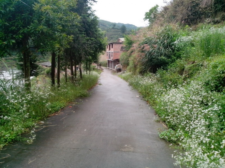 IMG_20120623_095711_00.jpg