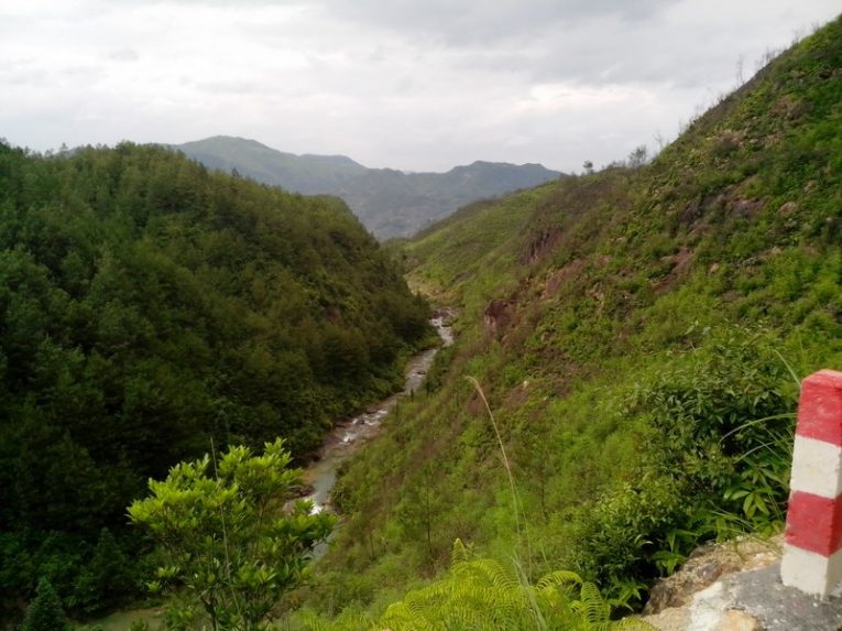 IMG_20120623_161439_00.jpg