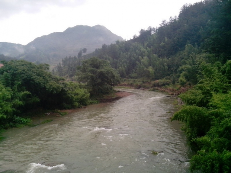 IMG_20120623_084849.jpg