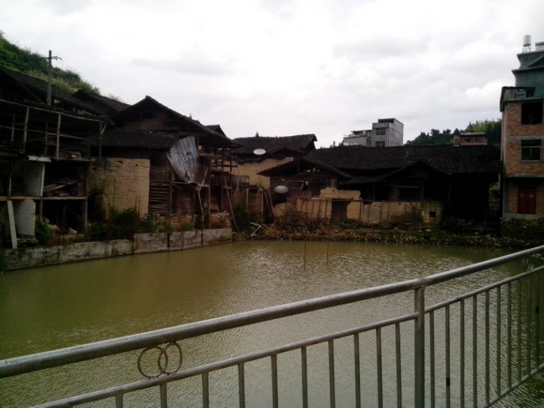 IMG_20120623_151133_01.jpg
