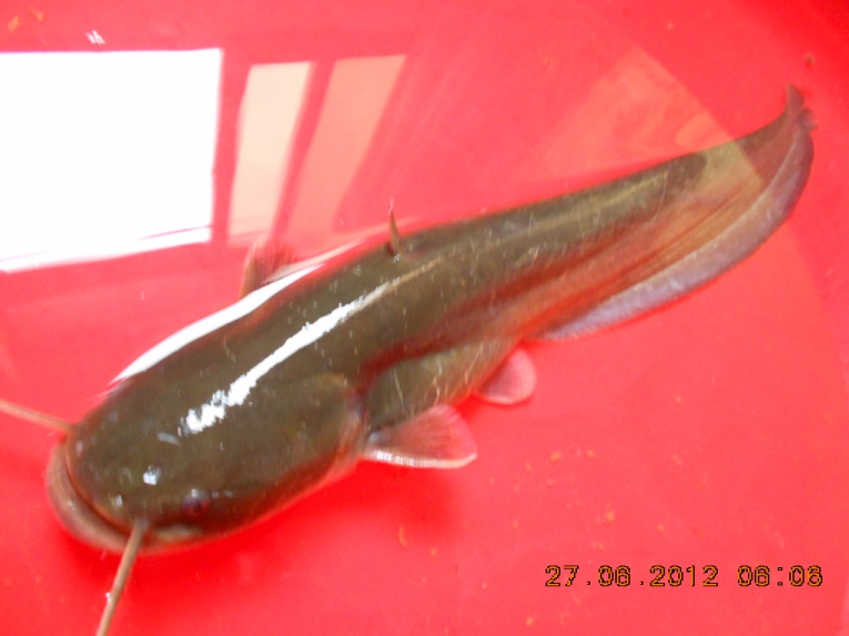 DSCN3908.JPG