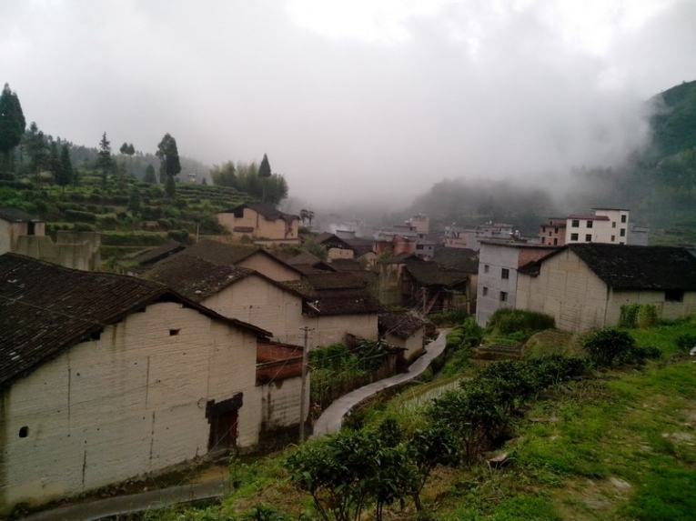 IMG_20120624_091732_01.jpg