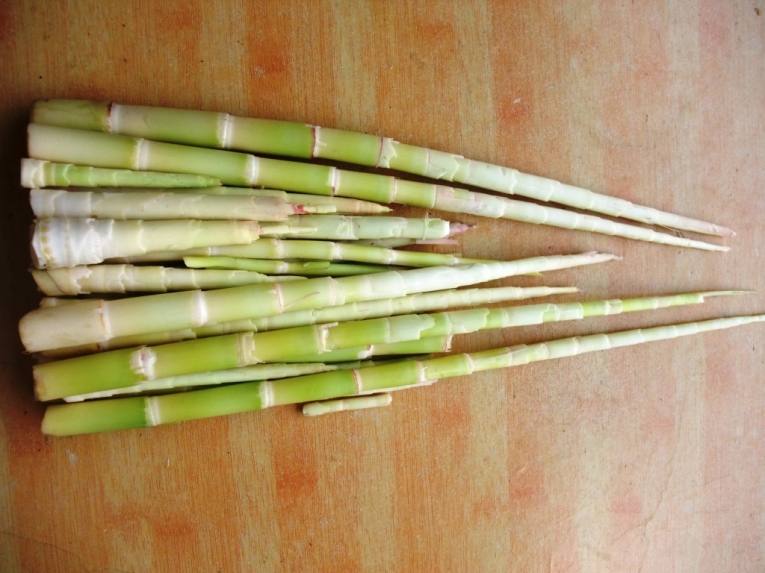 照片 3961.jpg