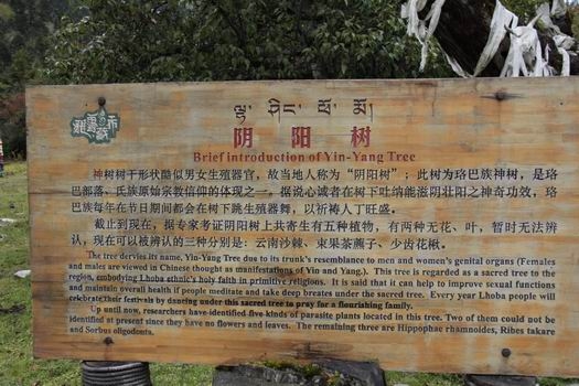 调整大小 _MG_2004.JPG