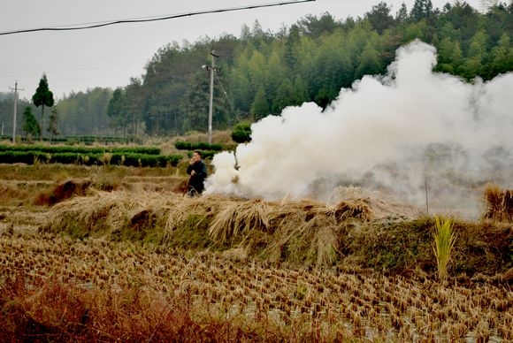 DSC_0057.jpg
