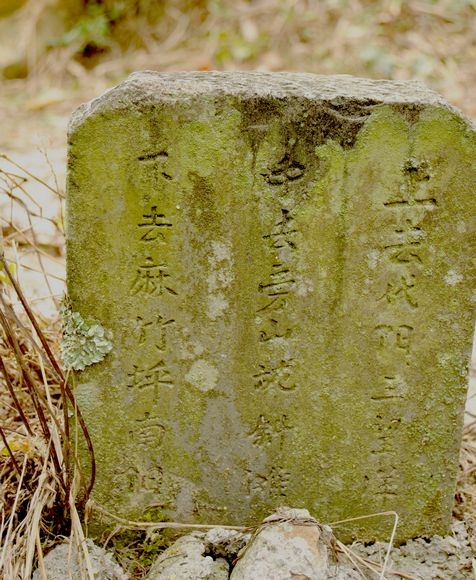 DSC_0071.jpg