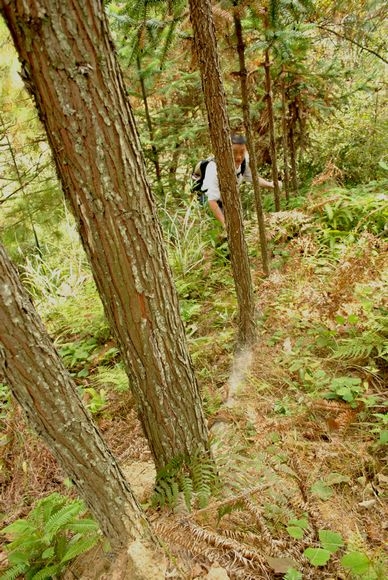 DSC_0094.jpg
