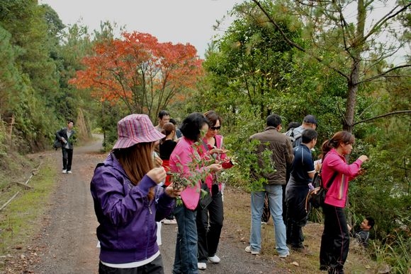 DSC_0096.jpg