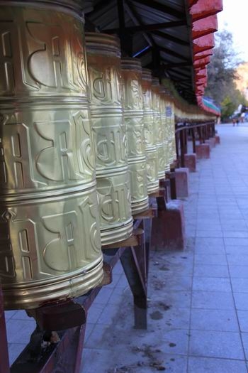调整大小 IMG_2883.JPG
