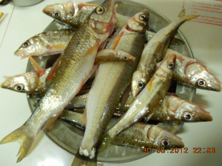 DSCN4023.JPG