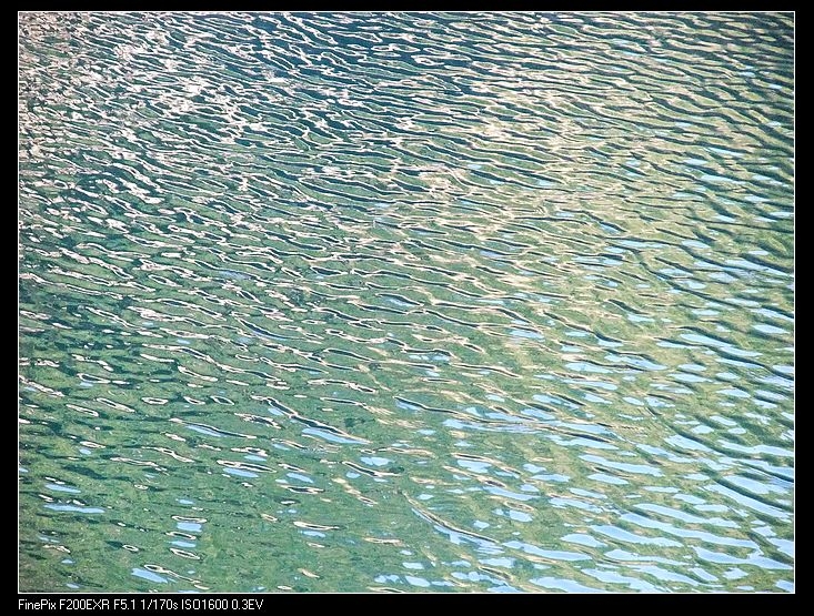 DSCF1896.jpg