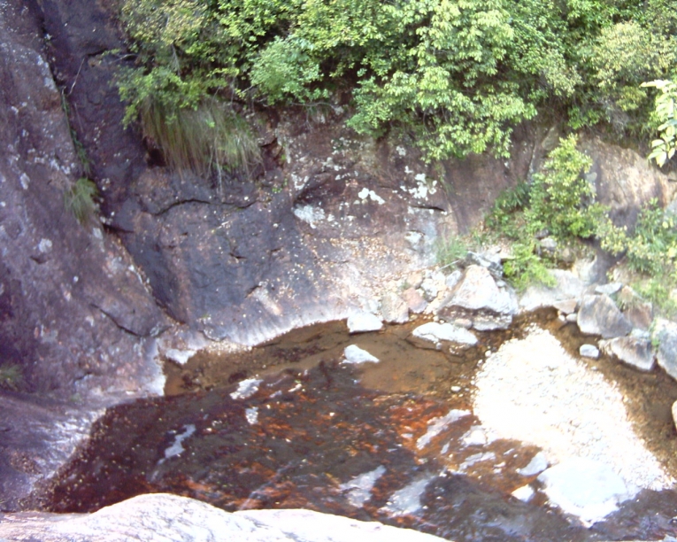 PCDV0119.JPG