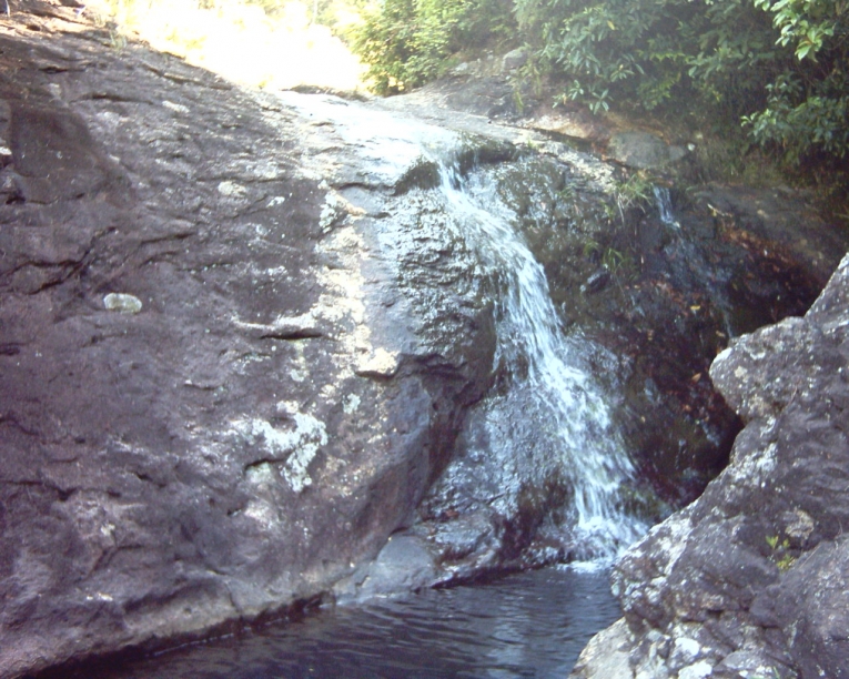 PCDV0097.JPG