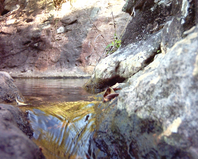 PCDV0111.JPG