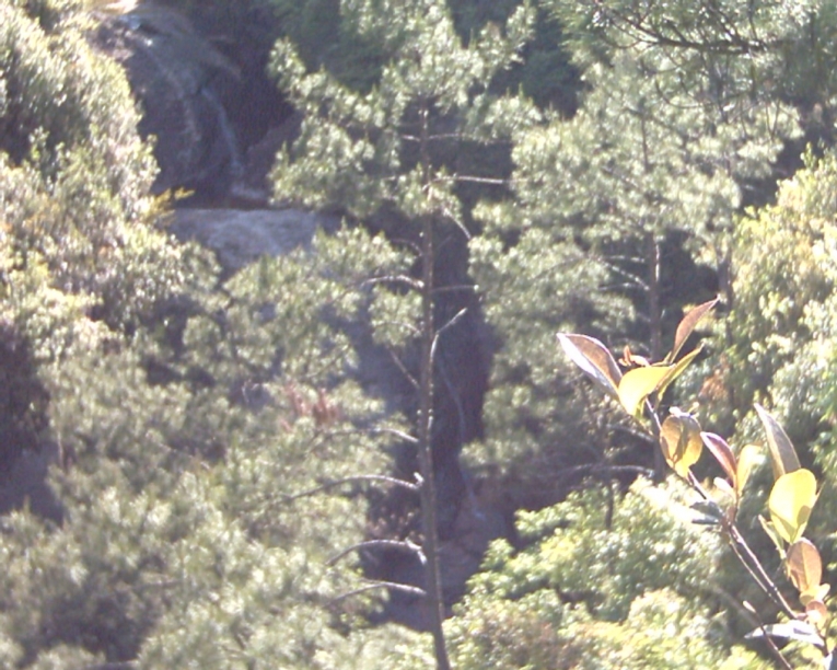 PCDV0076.JPG