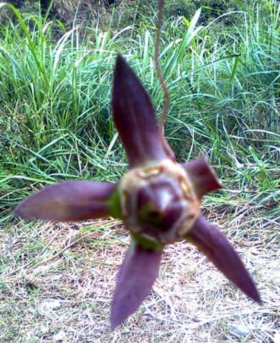 平坑风光 (17).jpg