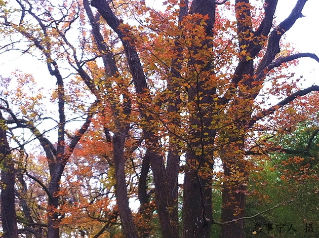 IMG_1507.jpg