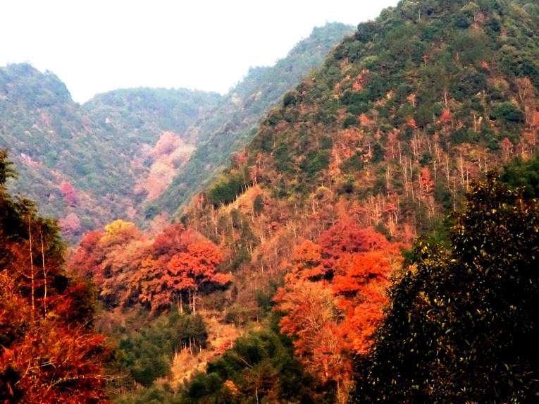 照片 1966.jpg