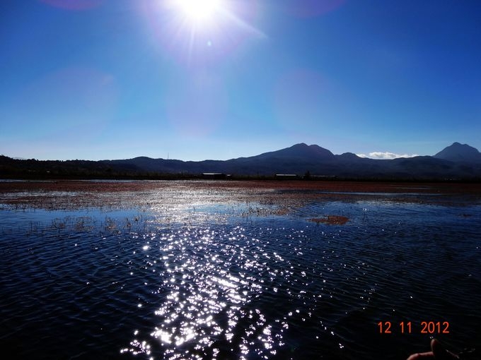 DSC03450.JPG