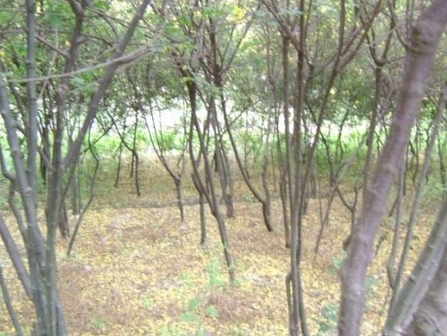 192952qnxuhd8dndnin7np_副本_副本.jpg