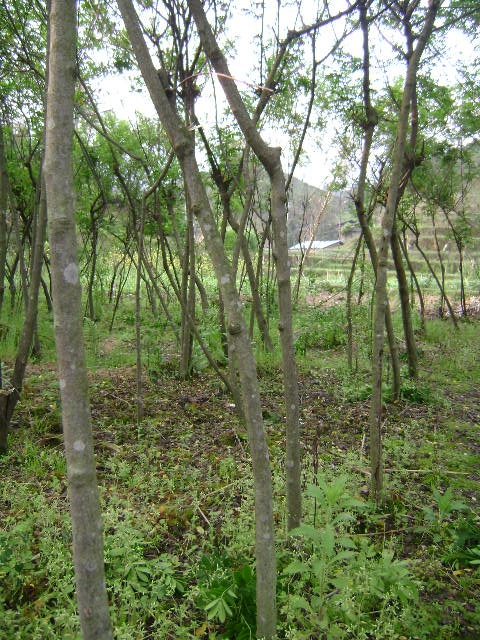 DSC02398_旋转.JPG