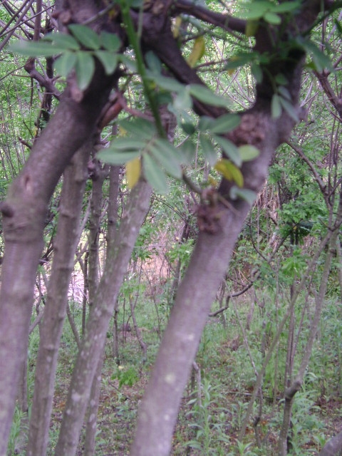 DSC02417_旋转.JPG