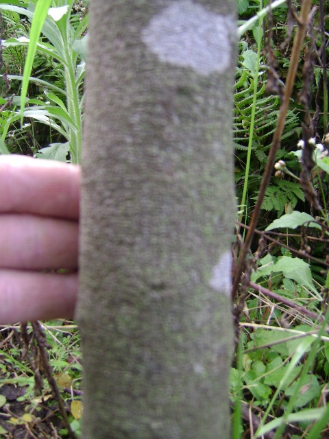 DSC02411_旋转.JPG