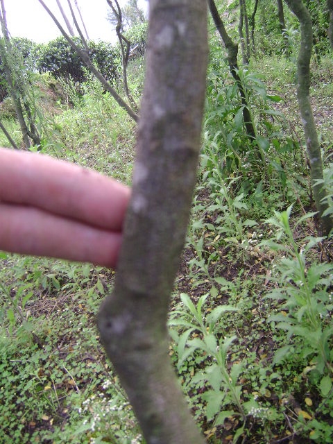 DSC02410_旋转.JPG